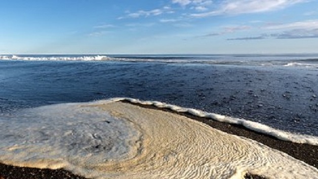 В воде на Камчатке нашли 11-кратное превышение загрязнителей