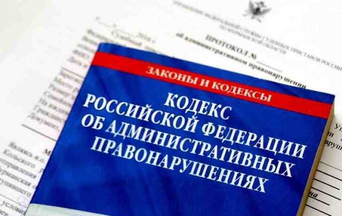 На жительницу России возбудили административное дело из-за печатного издания дневника Геббельса