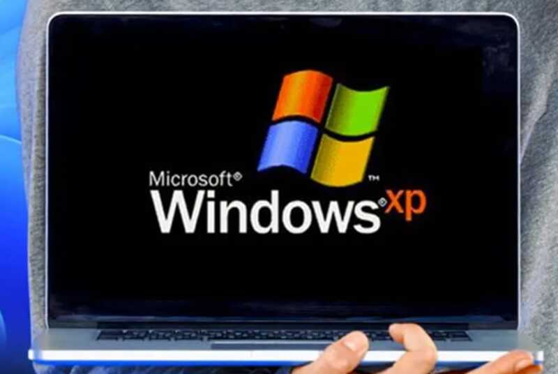Холм с известным фоном рабочего стола Windows XP оказался виноградником