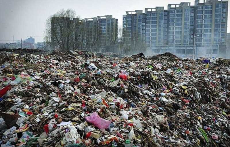 Крысы заменяют реформы: Красноярск тонет в мусоре и болезнях
