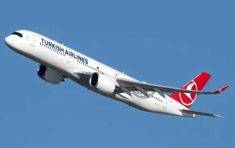 Turkish Airlines задержал вылет из Внуково почти на 13 часов