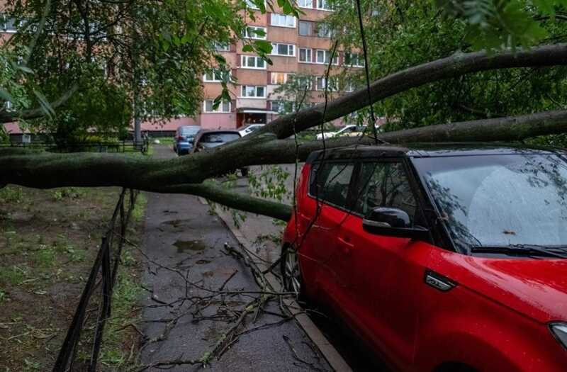 Ураган пронёсся по Петербургу: ветер срывает покрытия, имеются пострадавшие