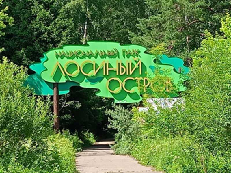 Тяжёлая техника, респираторы и кровь: как разрушается Лосиный Остров под предлогом строительства объектов инфраструктуры