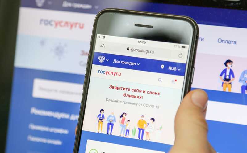 Интернет-платформа "Госуслуги" внедряет цифровой реестр для всестороннего наблюдения за молодежью в России