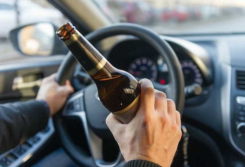 Пьяный водитель со змеёй на шее пытался сдать права в ГИБДД Камчатки