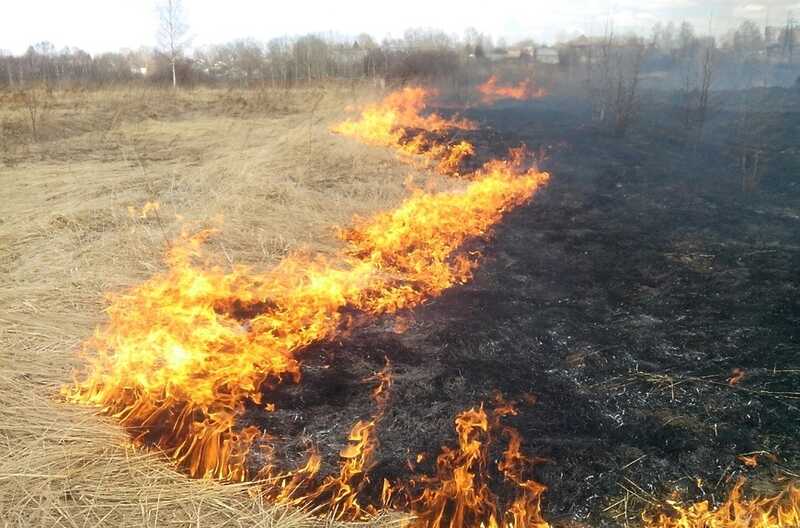 В Ставрополье неизвестные подожгли траву: пламя достигло населённого пункта