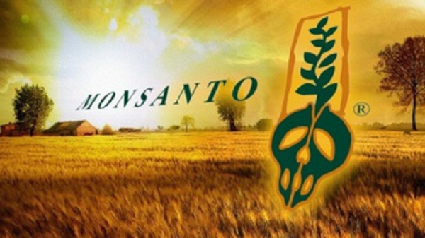 Россию завалят ГМО, или Почему ФАС дала добро на сделку Bayer-Monsanto?