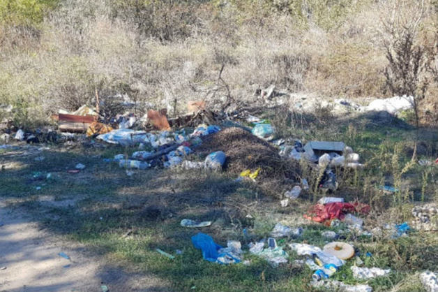 Ростовские чиновники боролись со свалками при помощи фотошопа