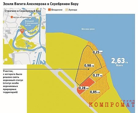 2015 г. Публичная кадастровая карта. Департамент городского имущества