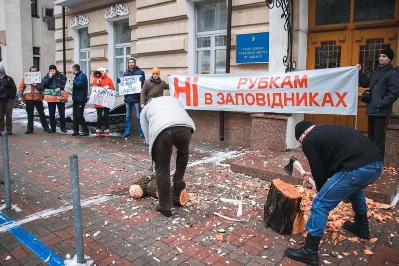 Организаторы акции, как и обещали, рубили дрова под зданием Гослесагентства