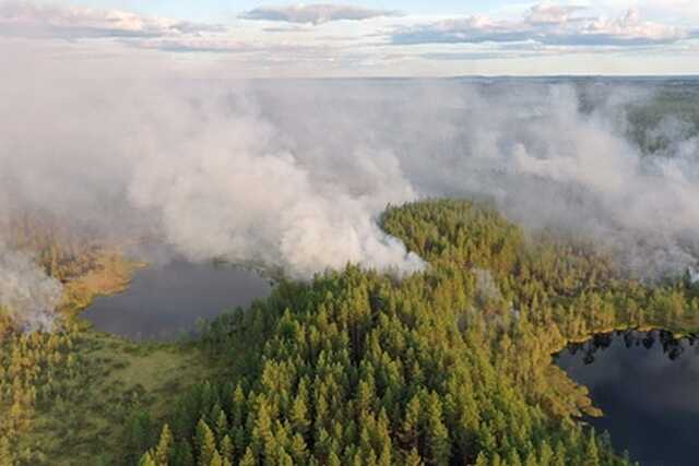 Во всей Карелии ввели режим ЧС из-за пожаров