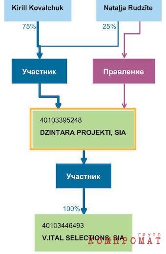 Схема владения компании V.ITAL Selections