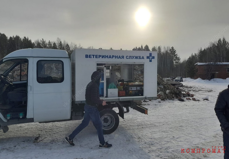 «Экоцентр» превращает Зауралье в скотомогильник. Тонны биоотходов утилизируют фирмы со шлейфом претензий от надзоров uriqzeiqqiuhatf qzridhidzziuqrmf