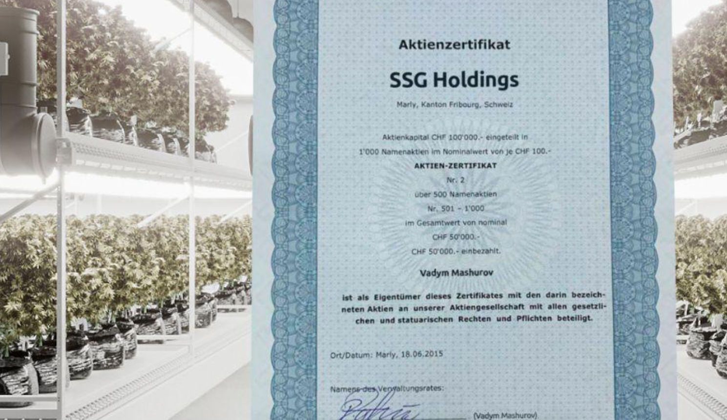 SSG Holdings, Вадим Машюров